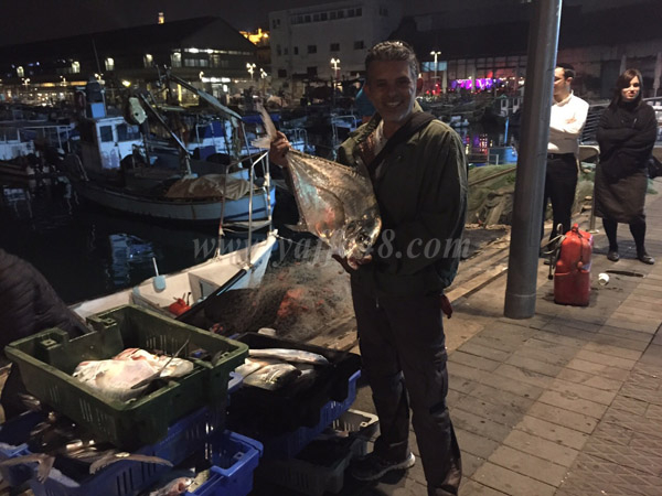  بالصور: اصطياد نحو 400 كيلو من أسماك "الجمل" النادرة على شواطئ مدينة يافا